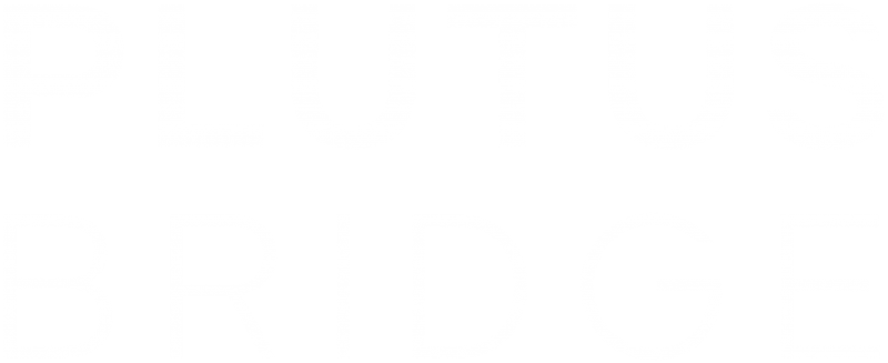 Plutus Bridge Capital Market Consultancy | Vancouver, BC